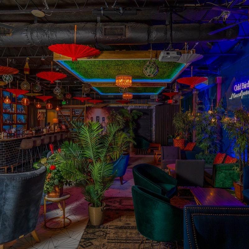 Odd Birds Kitchen and Lounge
