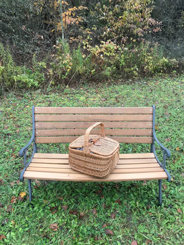 plant, furniture, plant community, outdoor bench, nature, botany