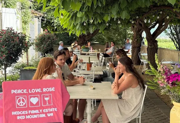 smile, leisure, chair, outdoor table, restaurant, vacation