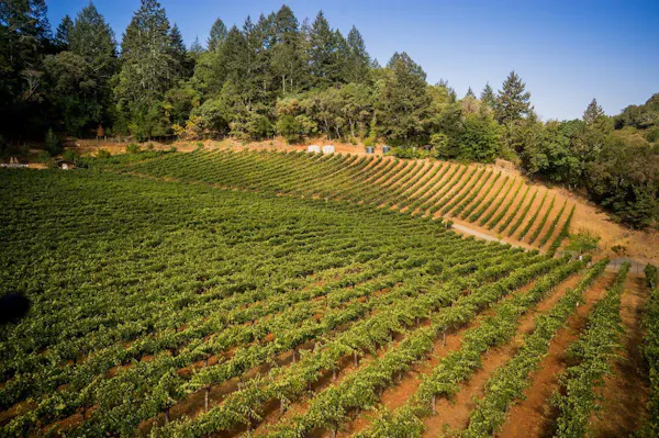 agriculture, plantation, plant community, field, forest, crop