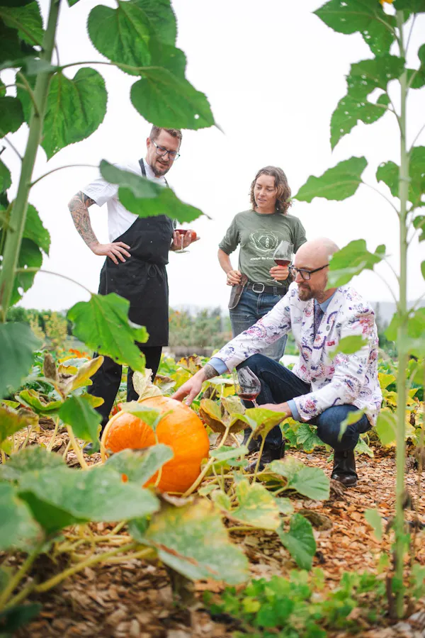 calabaza, pumpkin, winter squash, produce, gourd, squash