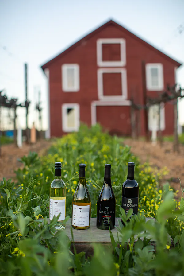 plant, sky, bottle, window, building, glass bottle
