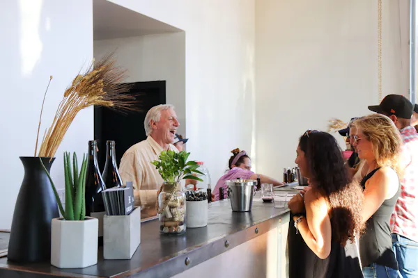 furniture, drinkware, table, houseplant, conversation, glass
