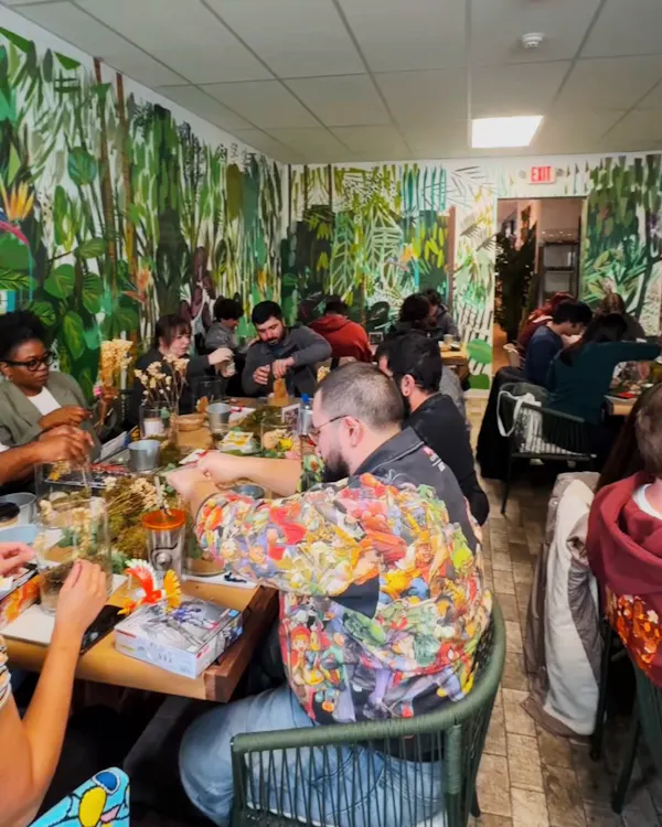 chair, restaurant, houseplant, customer