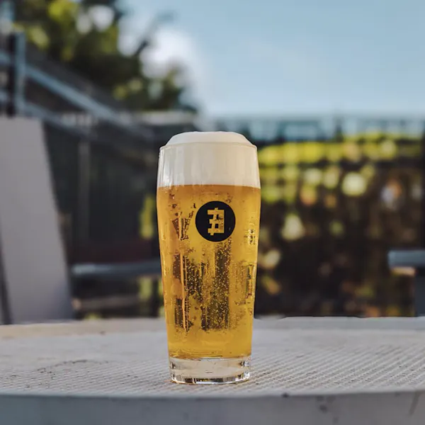 tableware, drinkware, alcoholic drink, beer, beer glassware, barware