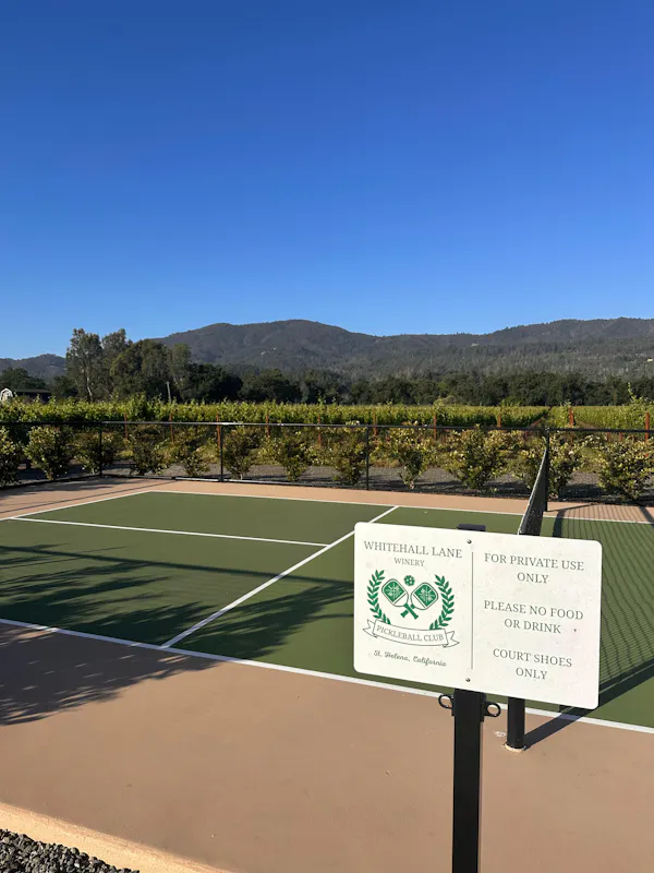 tennis court, tennis--equipment and supplies, sports venue