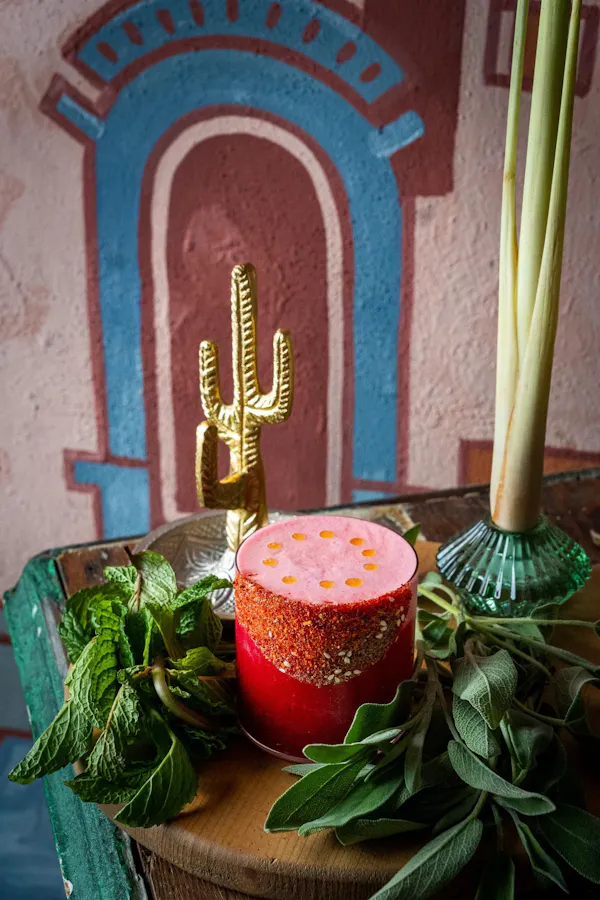 cactus, succulent plant, prickly pear, still life photography