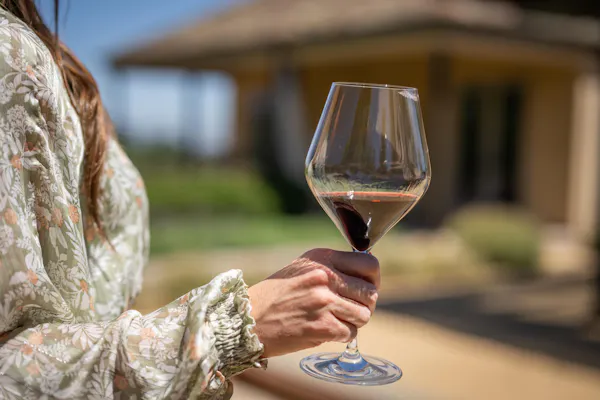 stemware, tableware, drinkware, wine glass, alcoholic drink, barware