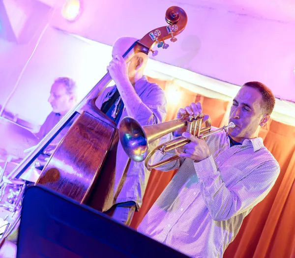 musical instrument, music, entertainment, performing arts, brass instrument, performance