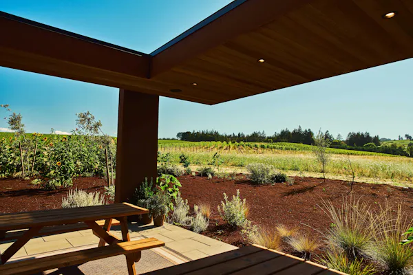land lot, wood stain, hardwood, garden, landscaping, eco hotel