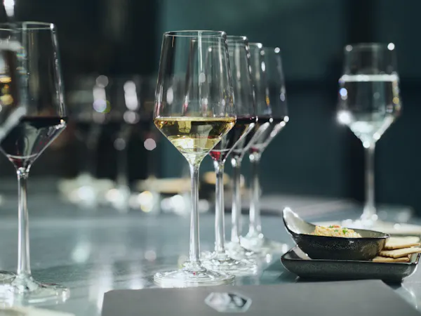 stemware, tableware, drinkware, champagne glass, barware, wine glass