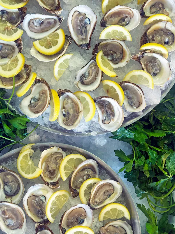 food, seafood, tableware, ingredient, bivalvia, oyster