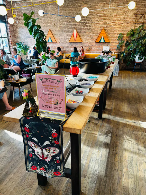 furniture, restaurant, chair, houseplant, varnish