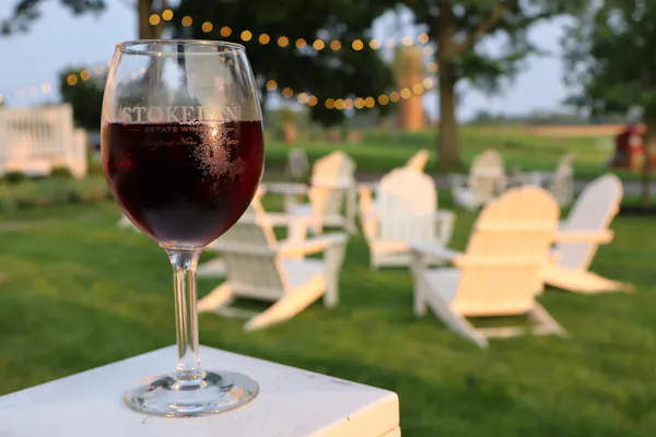 tableware, stemware, alcoholic drink, drinkware, barware, wine glass