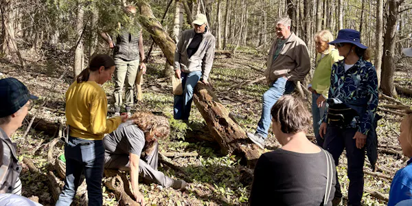 clothing, natural environment, wood, trousers, jeans, recreation