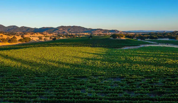 agriculture, field, plain, hill, plantation, rural area