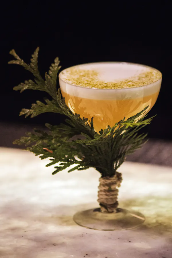 tableware, drinkware, plant, stemware, barware, serveware