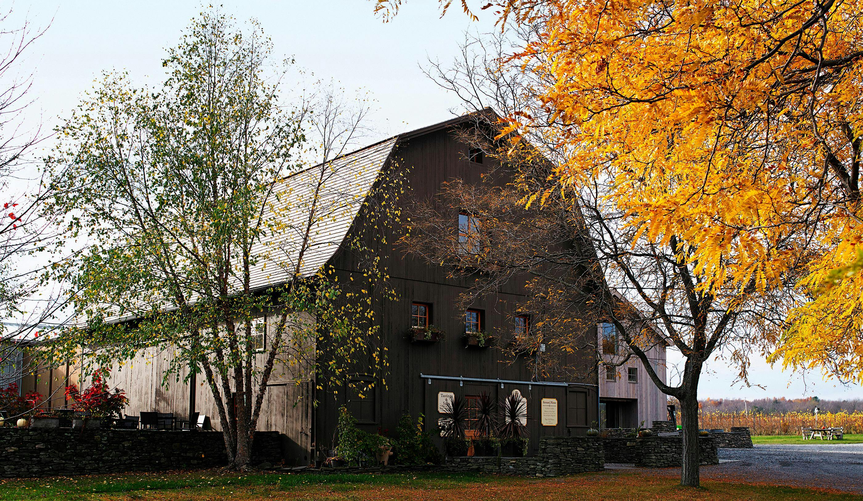 Hermann J. Wiemer Vineyard