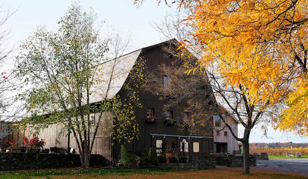 leaf, house, tree, sky, home, autumn