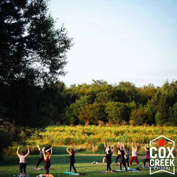 recreation, exercise, physical fitness, leisure, people in nature, fun