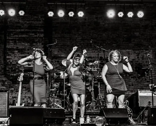 audio equipment, performing arts, entertainment, performance, music, stage