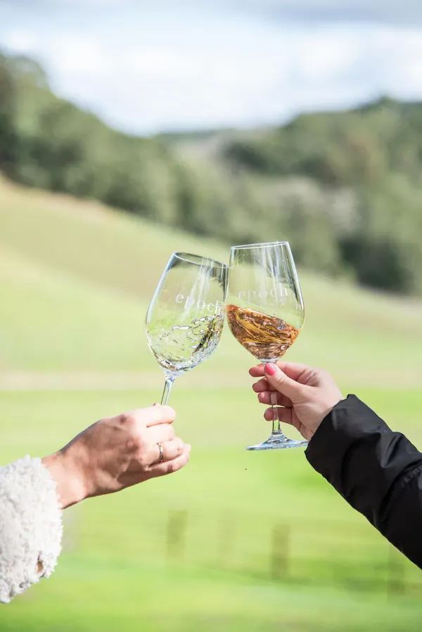 stemware, tableware, drinkware, wine glass, alcoholic drink, champagne glass