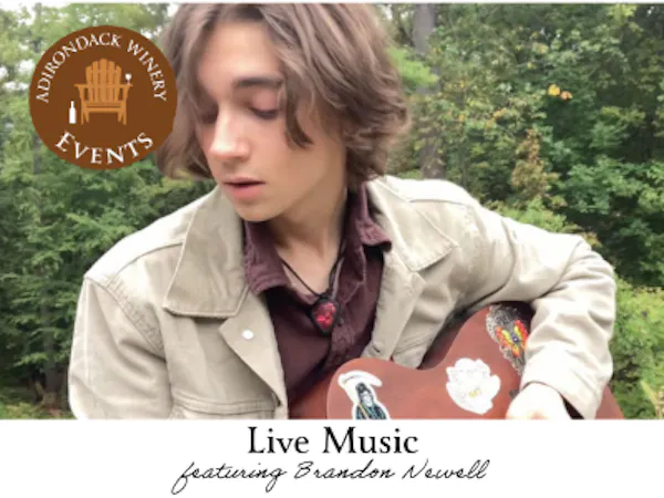 chordophone, string instrument, guitarist, plucked string instrument, guitar, musician