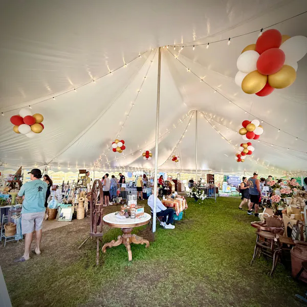 event, tent, furniture, balloon, decoration, party supply