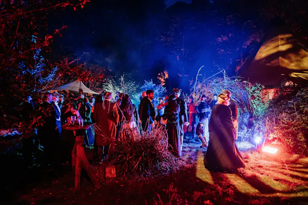 event, night, entertainment, crowd, midnight, party