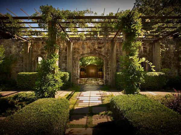plant, building, vegetation, grass, shrub, shade