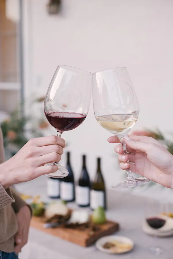 stemware, tableware, drinkware, wine glass, alcoholic drink, barware