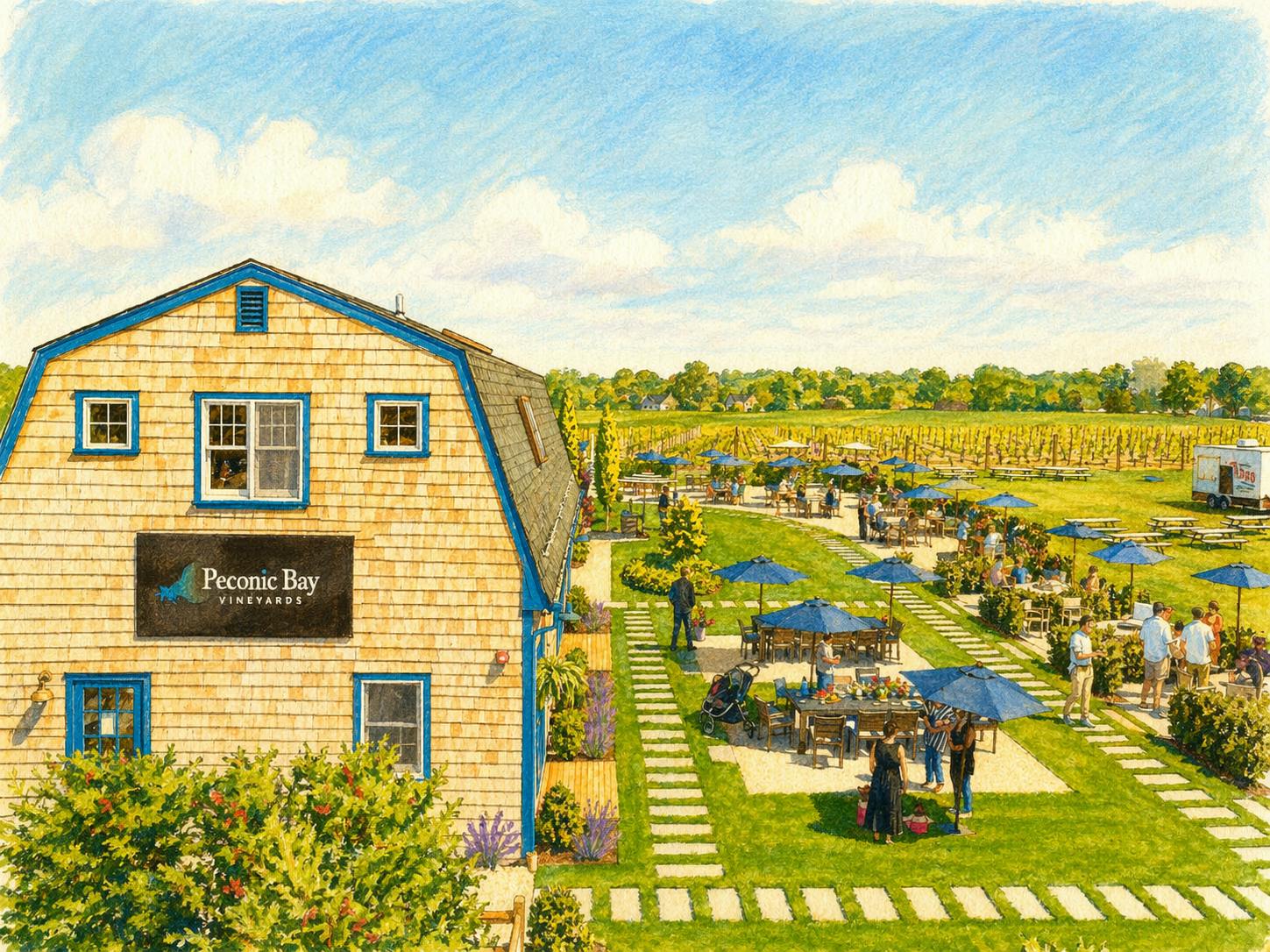 Peconic Bay Vineyards by Krissie Wines