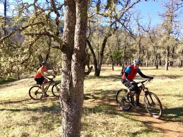 bicycle, wheel, bicycle helmet, tire, bicycles--equipment and supplies, plant