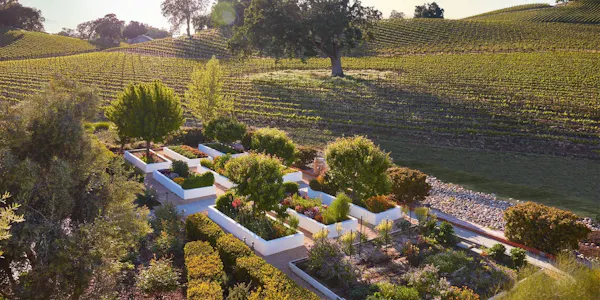 shrub, garden, groundcover, plantation, landscaping, hedge