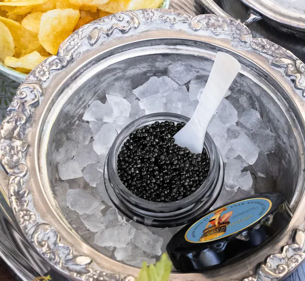 food, ingredient, liquid, tableware, fluid, recipe