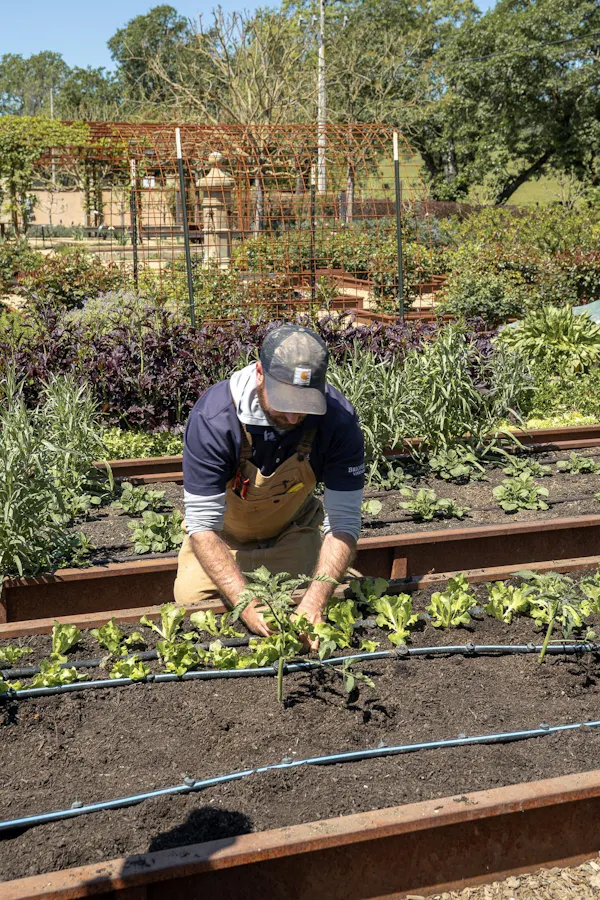 farmworker, hat, garden, agriculture, plantation, soil