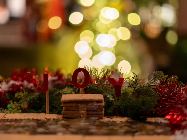 red, christmas decoration, christmas day, holiday, christmas lights