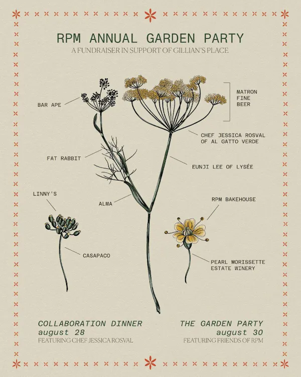 herbaceous plant, umbellifers, wildflower