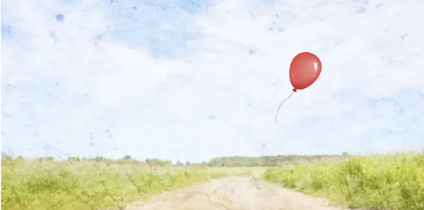 daytime, balloon, ecoregion, cloud, grassland, field