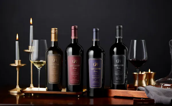 bottle, alcoholic drink, alcohol, glass bottle, liquid, wine