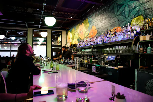 drinking establishment, furniture, light, barware, purple, lighting