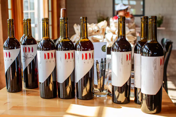 bottle, alcoholic drink, glass bottle, wine bottle, alcohol, drinkware