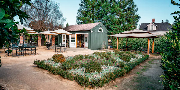 plants, shrub, garden, cottage, yard, landscaping