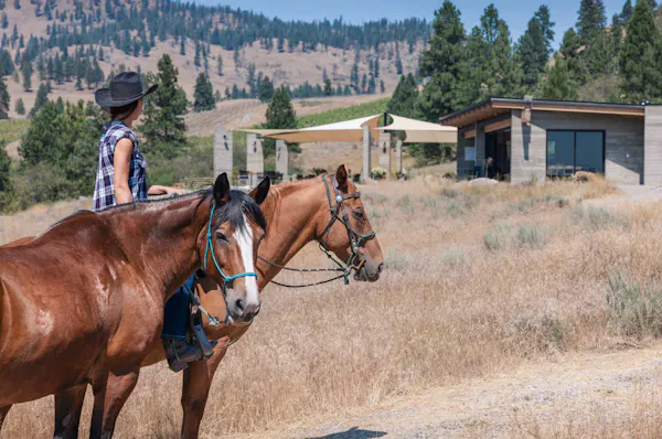 horse, landscape, rural area, cottage, horse tack, ranch