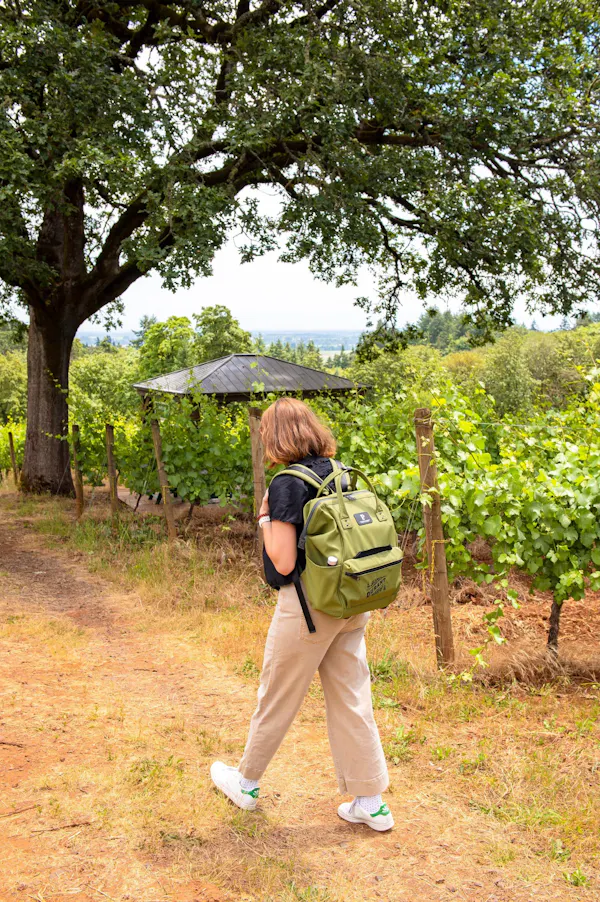 bag, luggage & bags, backpack, recreation, baggage, people in nature