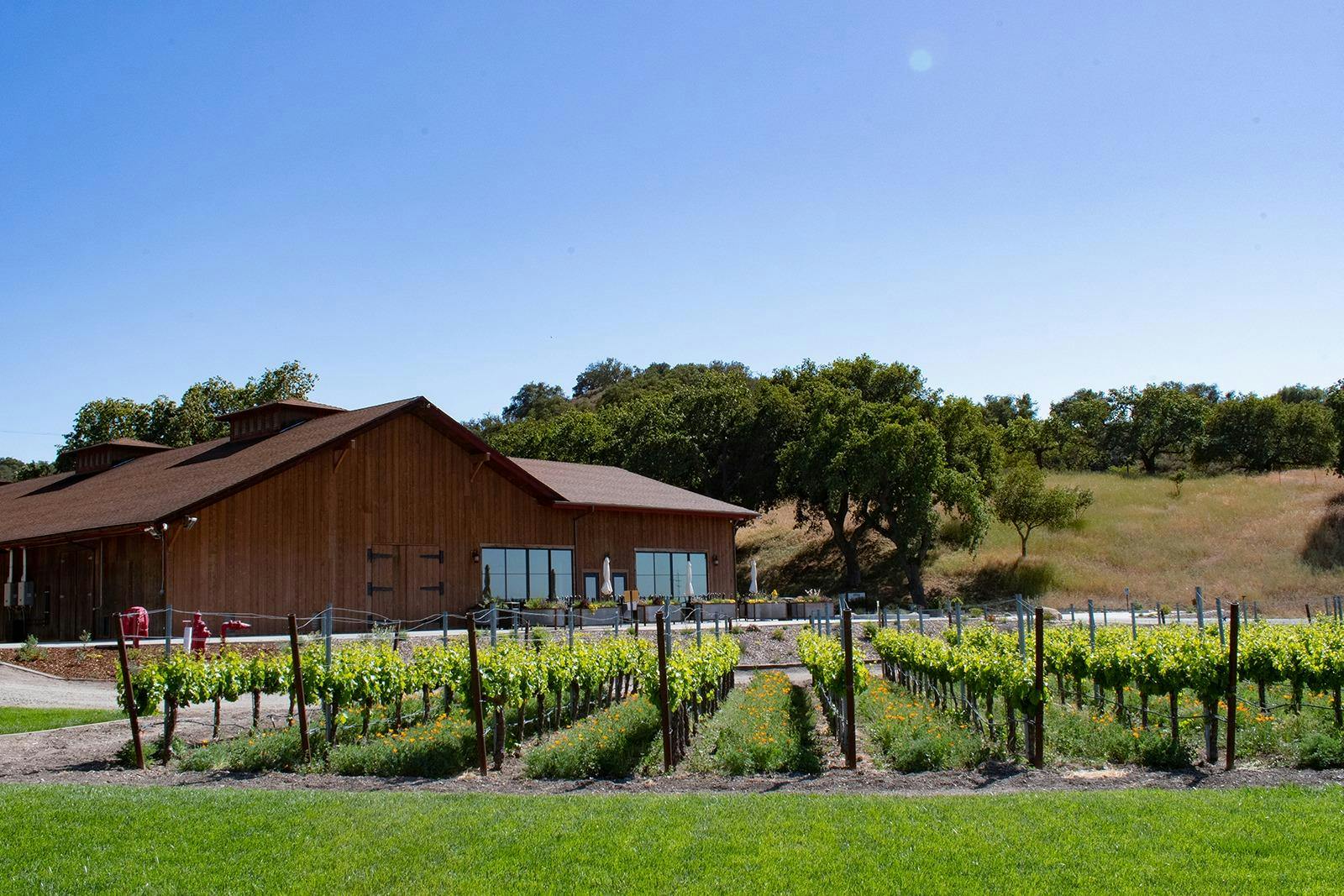 Zaca Mesa Winery and TREAD Wines