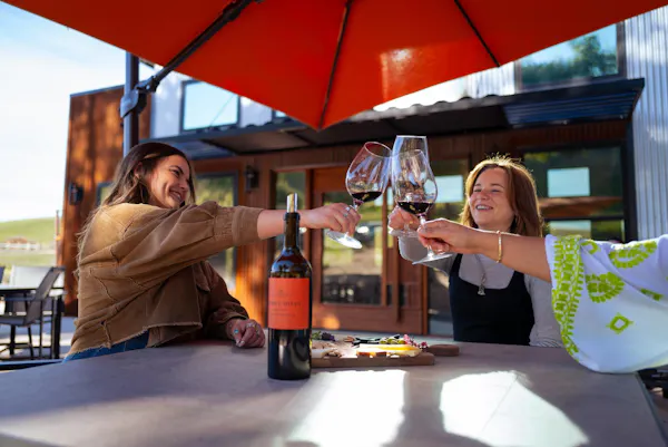 alcoholic drink, bottle, drinkware, wine, liquor, barware