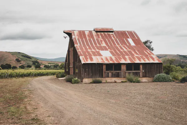 wood, barn, rural area, shed, cottage, garden buildings