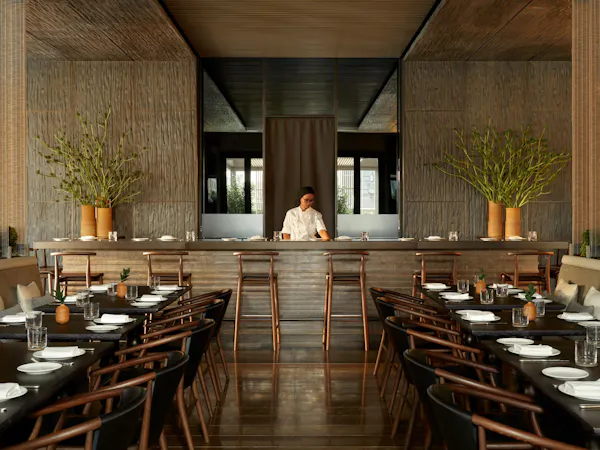 furniture, property, table, plant, wood, chair