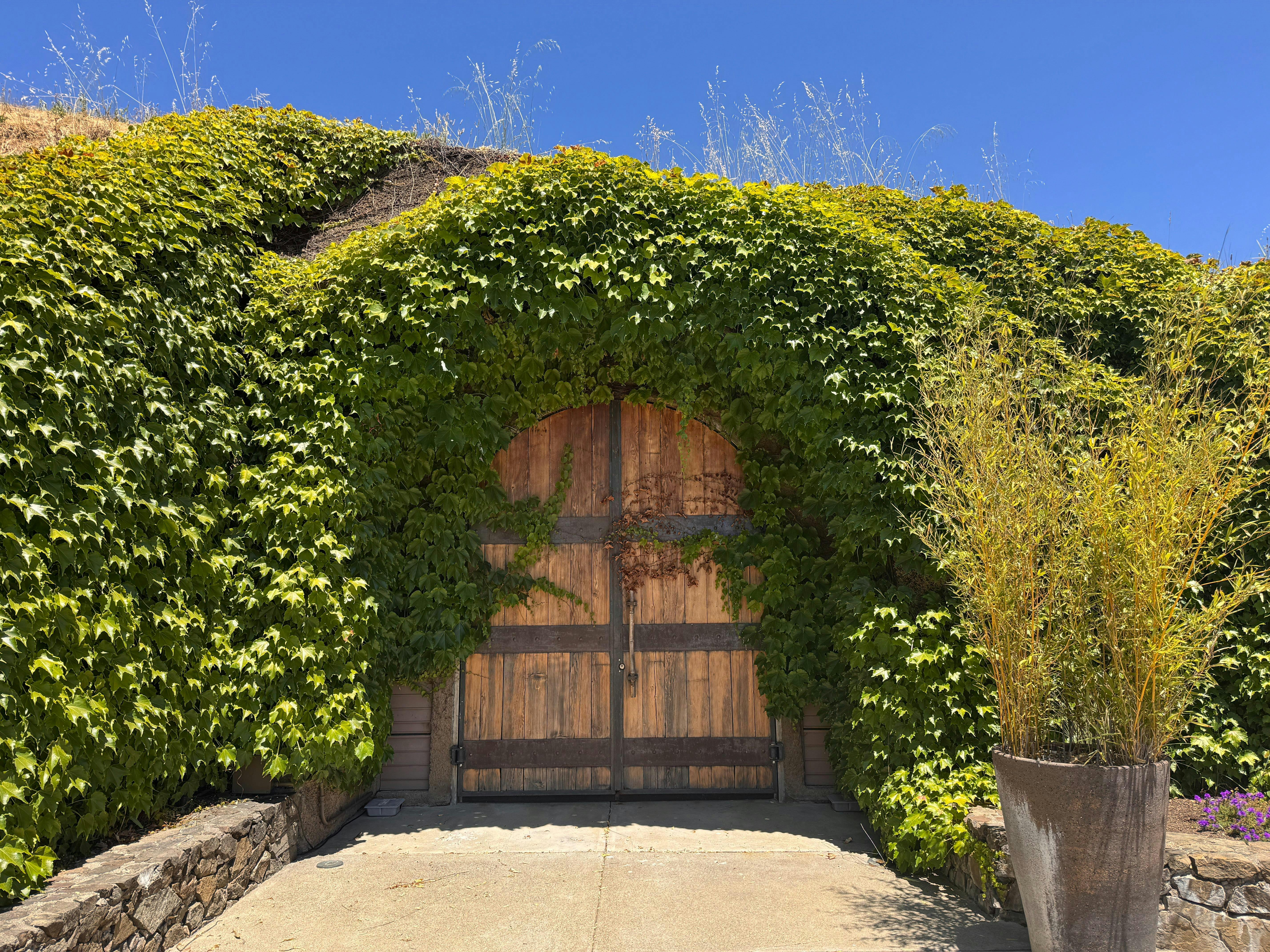 Saracina Vineyards & Winery